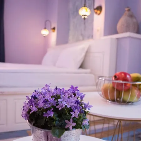 Guest house Saborna 25